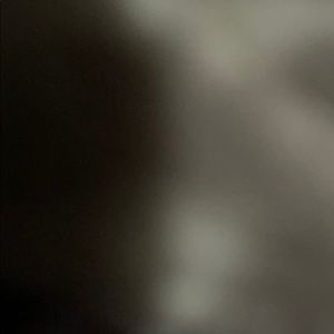 Meet your Posher, Dolores